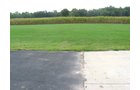 Property photo 18 - Real Estate Auction - 31+/- Acres Offered in 3 Tracts Including a 3-Bedroom Home